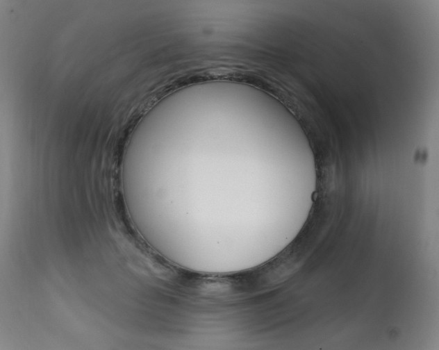 X0000111380653200907100938