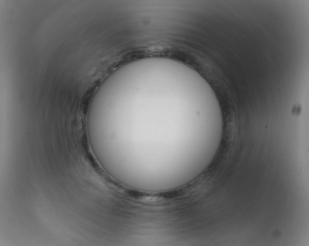 X0000111380654200907100938