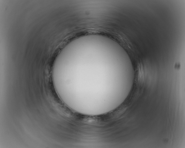 X0000111380655200907100938