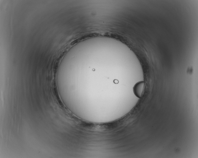X0000111380656200907100938