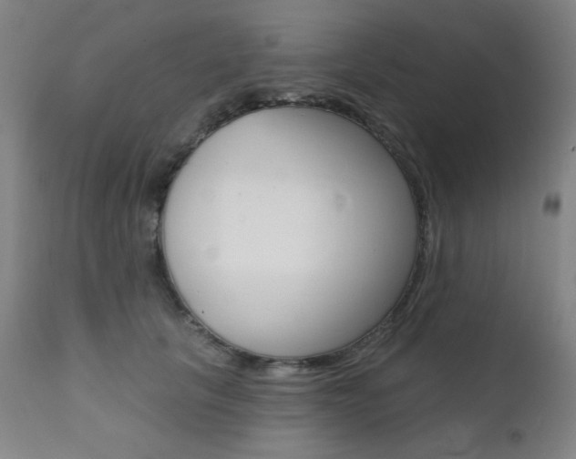 X0000111380657200907100938