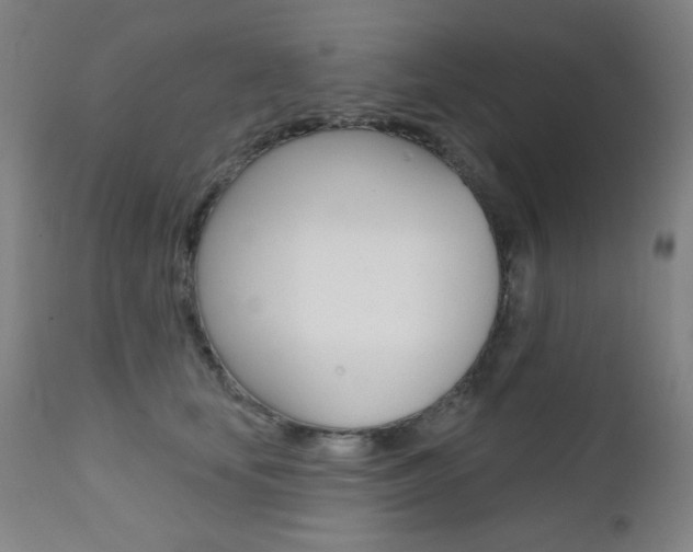 X0000111380659200907100938