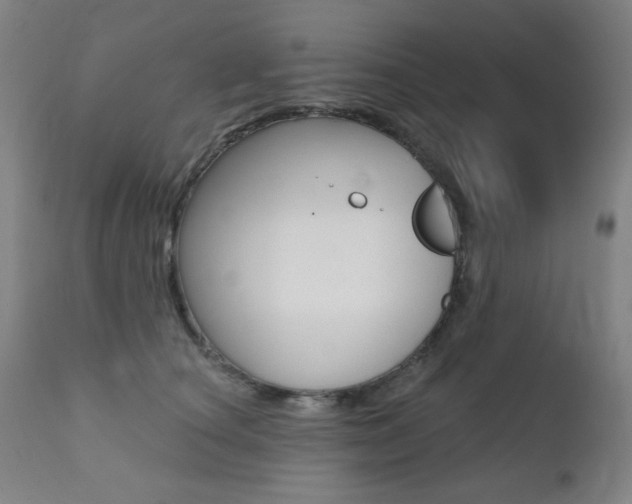 X0000111380660200907100938