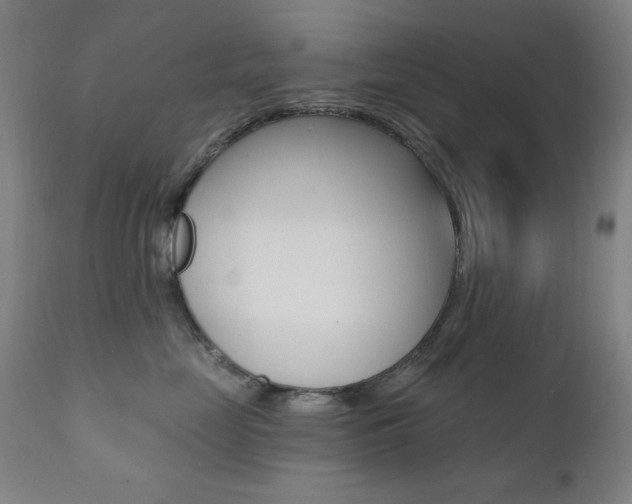 X0000111380669200907100938