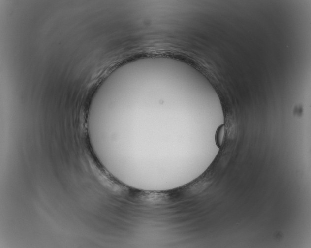 X0000111380670200907100938