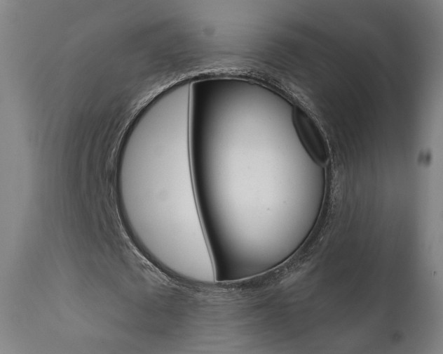X0000111380673200907100937