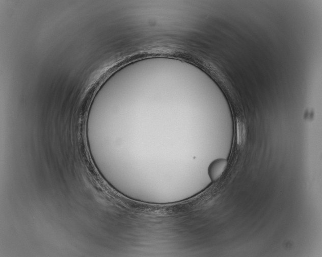 X0000111380675200907100937