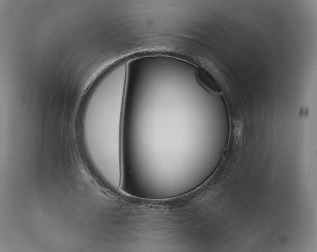 X0000111380676200907100937