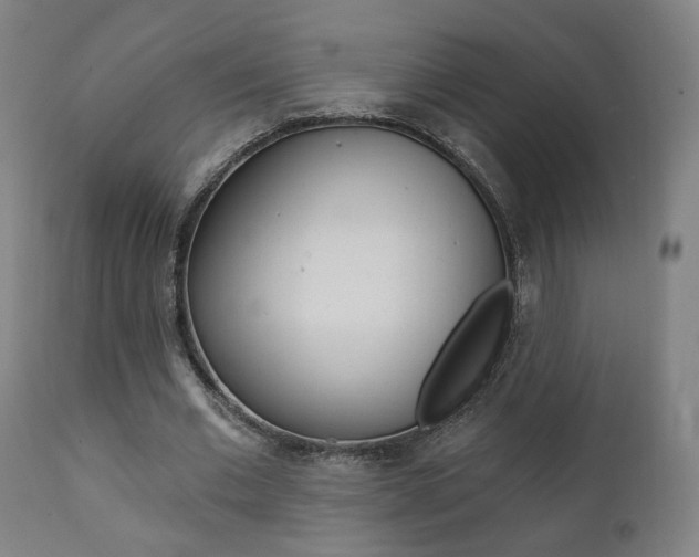 X0000111380677200907100937
