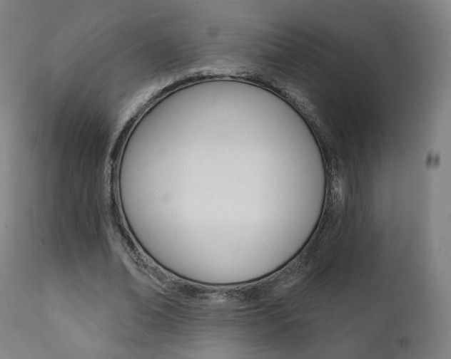 X0000111380678200907100937