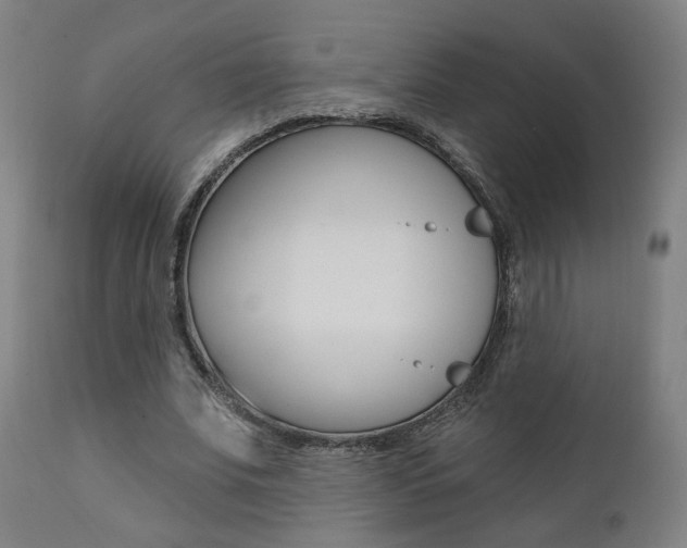 X0000111380679200907100937