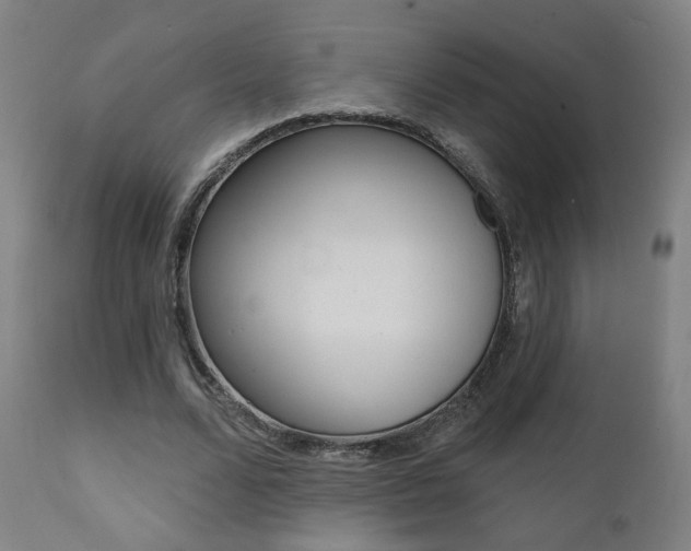 X0000111380680200907100937