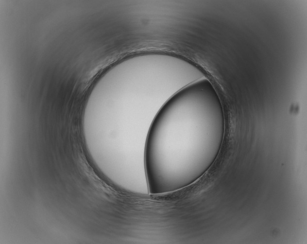 X0000111380681200907100937