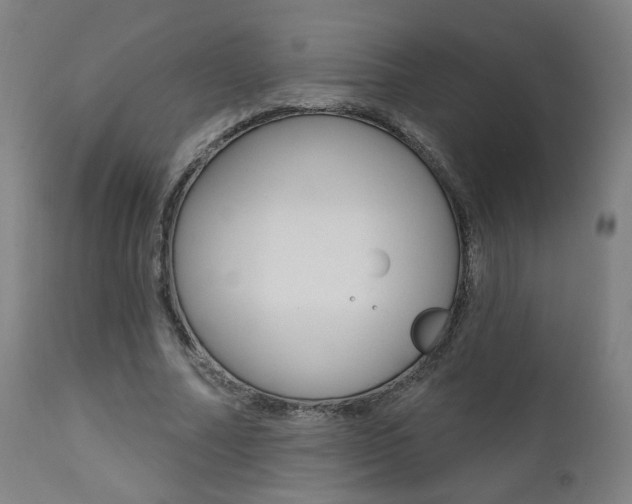 X0000111380682200907100937