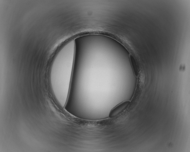 X0000111380684200907100937