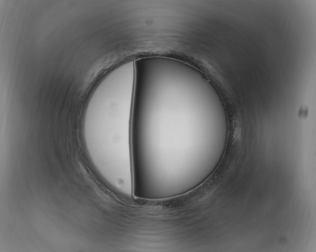 X0000111380685200907100937