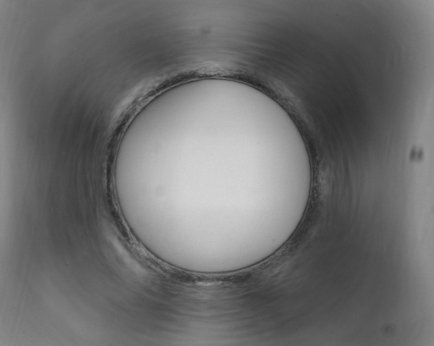 X0000111380686200907100937