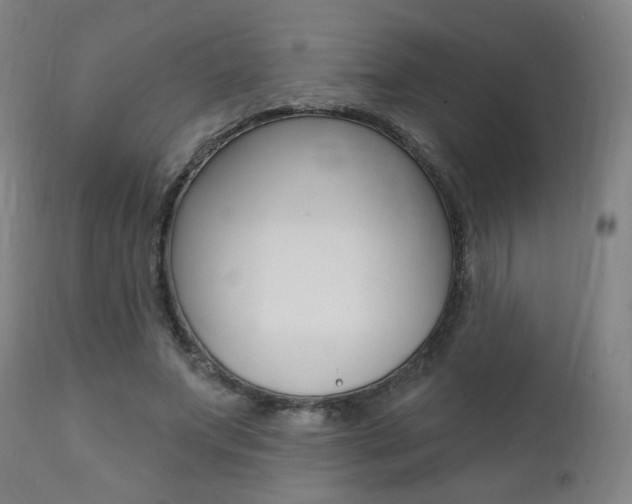 X0000111380687200907100937