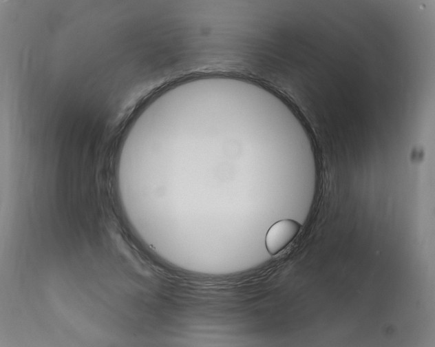 X0000111380688200907100937