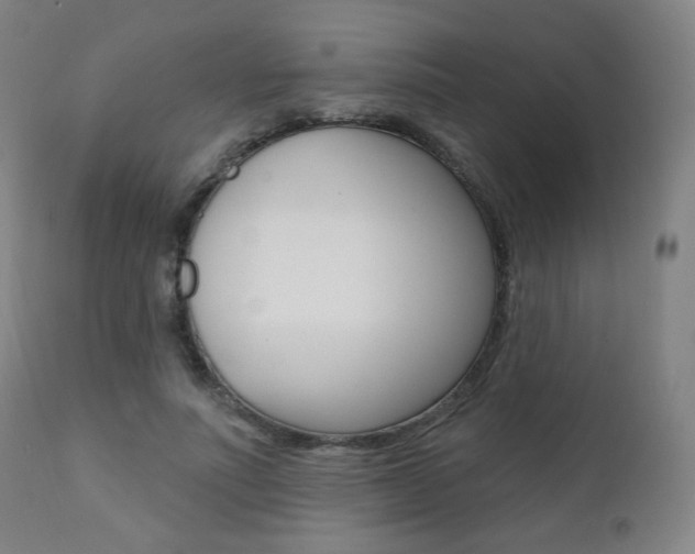 X0000111380691200907100937