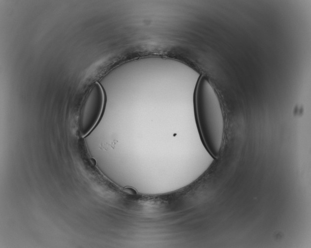 X0000111380693200907100937