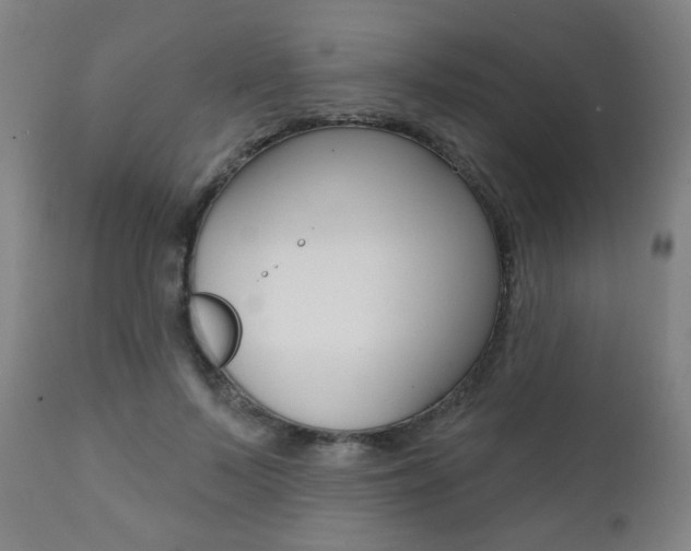 X0000111380695200907100937