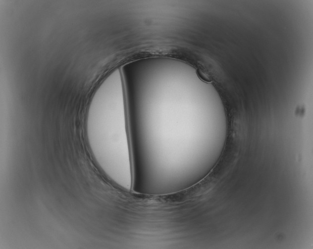 X0000111380697200907100937
