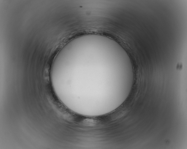 X0000111380699200907100937