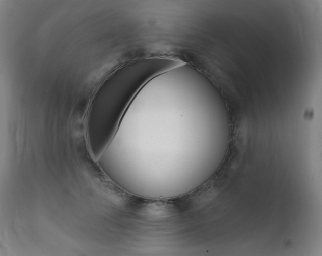 X0000111380708200907100937
