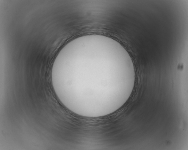 X0000111380709200907100937