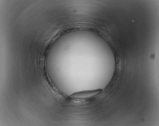 X0000111380712200907100937