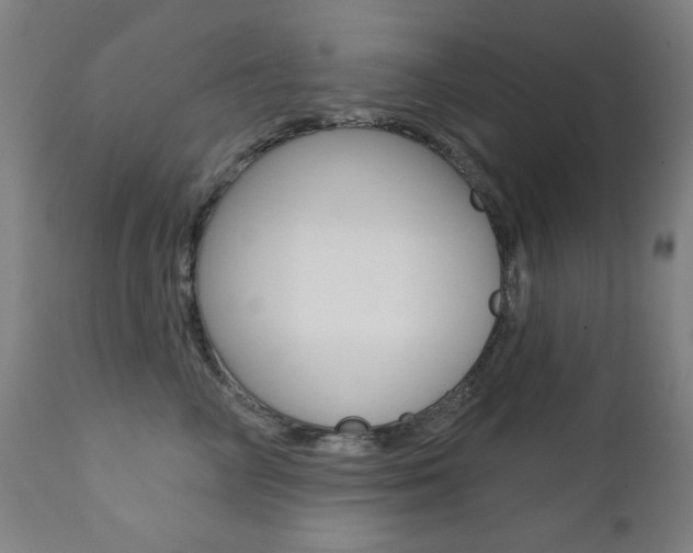 X0000111380714200907100937