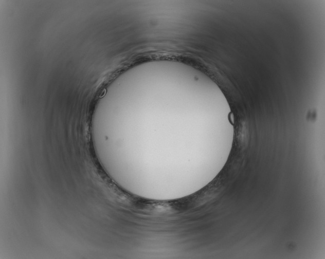 X0000111380715200907100937