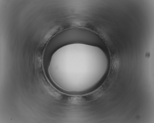 X0000111380716200907100937