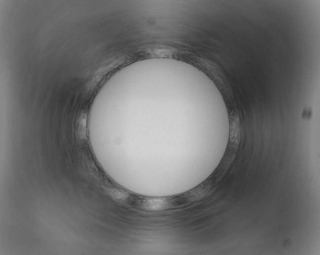 X0000111380717200907100937