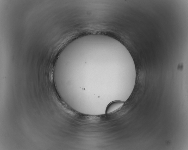 X0000111380719200907100937
