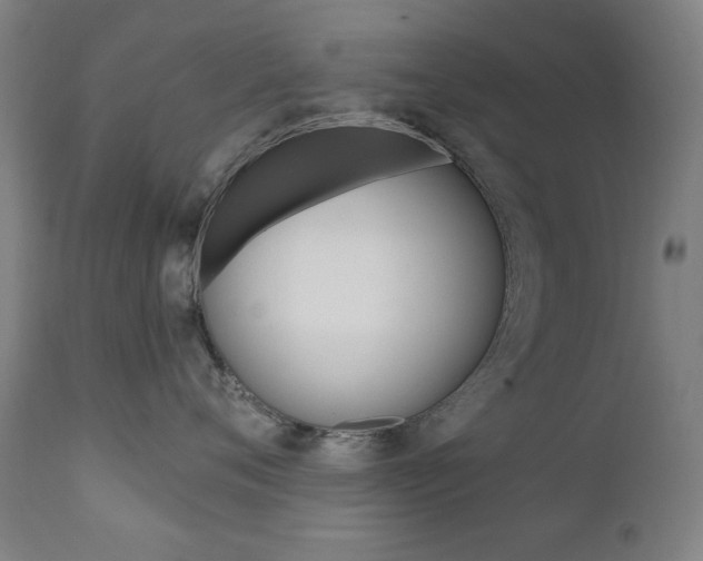 X0000111380720200907100937
