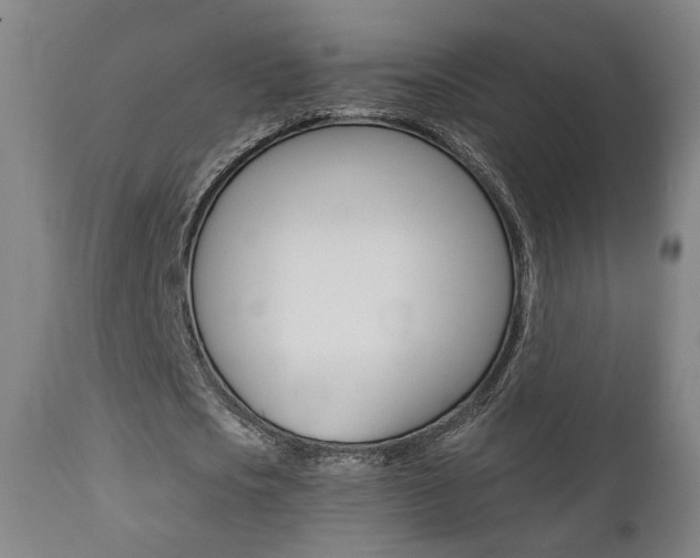 X0000111380721200907100936