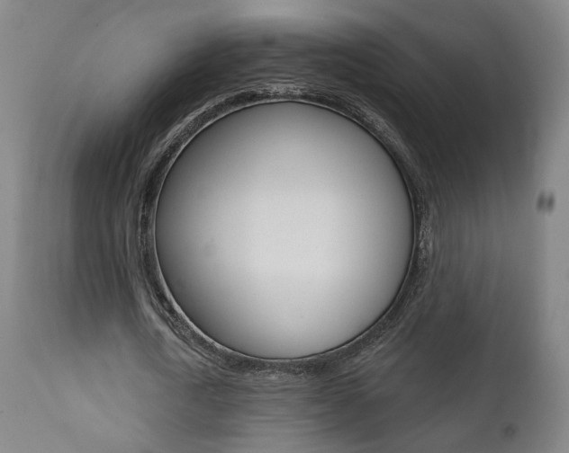 X0000111380722200907100936