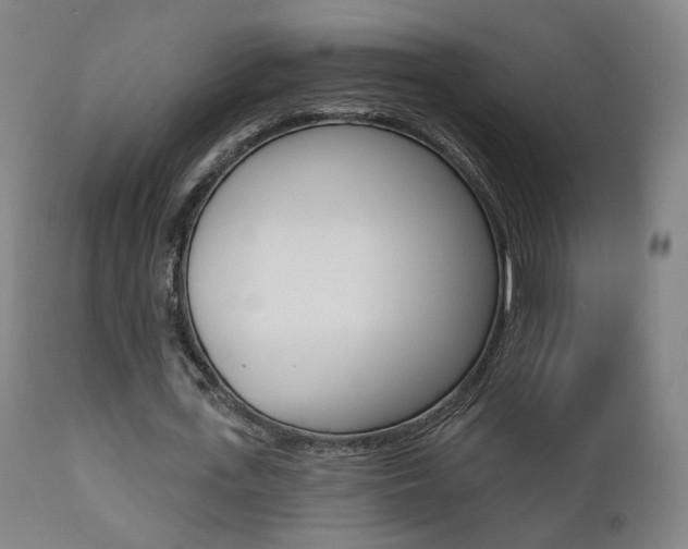 X0000111380723200907100936