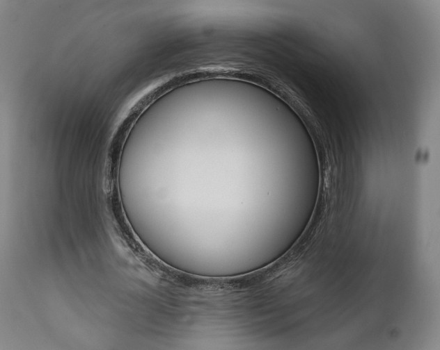 X0000111380724200907100936
