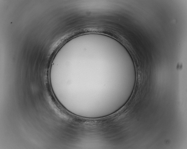 X0000111380725200907100936