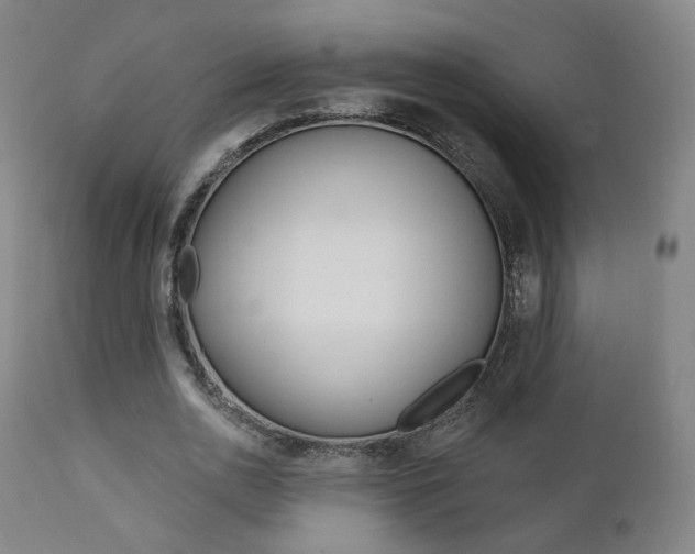 X0000111380726200907100936