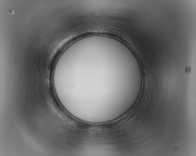 X0000111380727200907100936