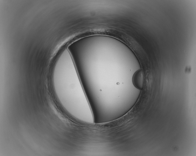 X0000111380728200907100936
