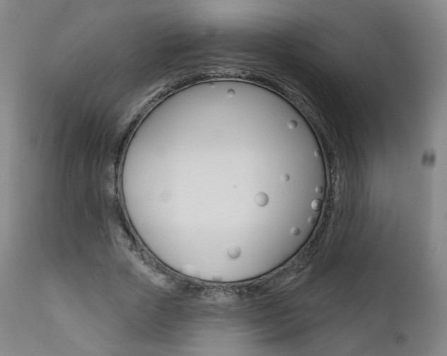 X0000111380729200907100936