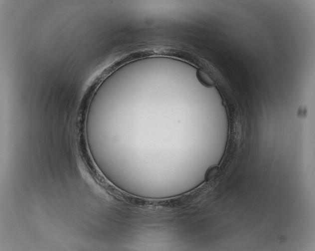 X0000111380730200907100936