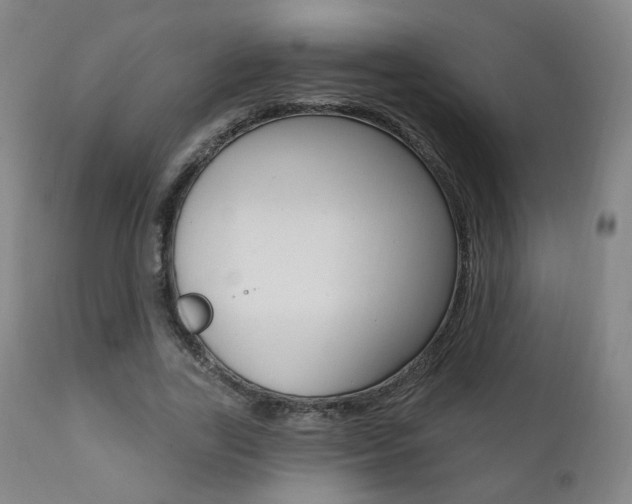 X0000111380731200907100936