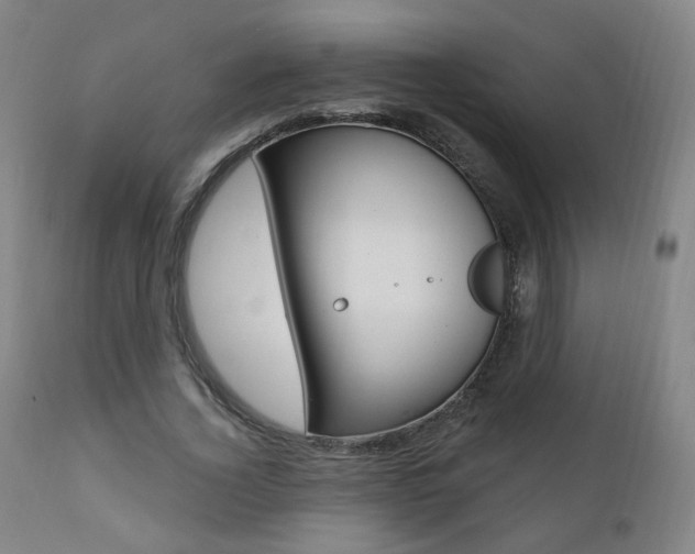 X0000111380732200907100936