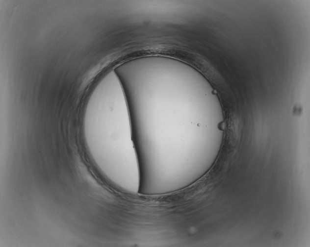X0000111380734200907100936